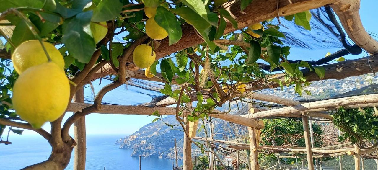 Pensjonat Takeamalficoast Patchwork Rural House Minori Zewnętrze zdjęcie