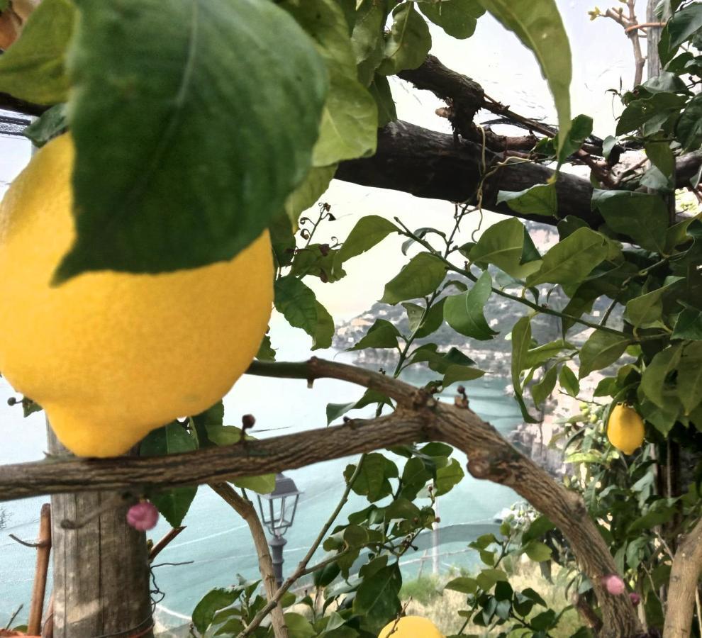 Pensjonat Takeamalficoast Patchwork Rural House Minori Zewnętrze zdjęcie