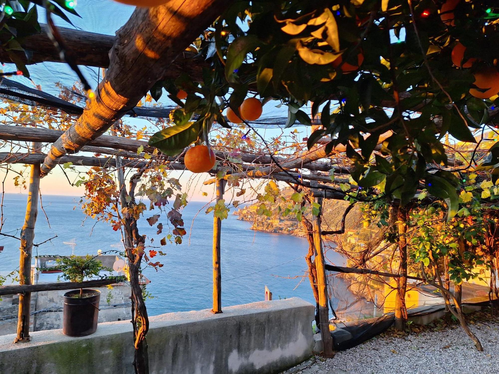Pensjonat Takeamalficoast Patchwork Rural House Minori Zewnętrze zdjęcie